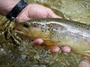 Filename=15~0.jpg
Filesize=219KB
Dimensions=500x375
Date added=Jun 13, 2011 15~0.jpg