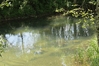Dateiname=Chalk_Stream-500-3.jpg
Dateigröße=68KB
Abmessungen: 500x333
hinzugefügt am: 14. Juni 2017 Chalk_Stream-500-3.jpg
