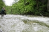 Dateiname : Pongauer Taurach-500-34.jpg
Dateigröße : 188KB
Abmessungen : 500x333
hinzugefügt am : 06.Juli 2016 Pongauer Taurach-500-34.jpg