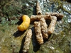 Filename=15~11.jpg
Filesize=298KB
Dimensions=600x450
Date added=Aug 24, 2010 15~11.jpg