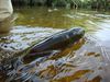 Filename=8~2.jpg
Filesize=171KB
Dimensions=450x338
Date added=Apr 05, 2010 8~2.jpg